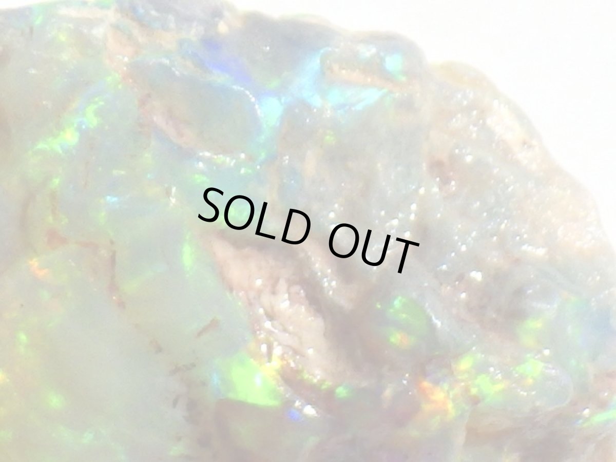 画像4: オパール化亀甲羅化石Ａ (4)