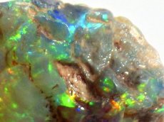 画像4: オパール化亀甲羅化石Ａ (4)