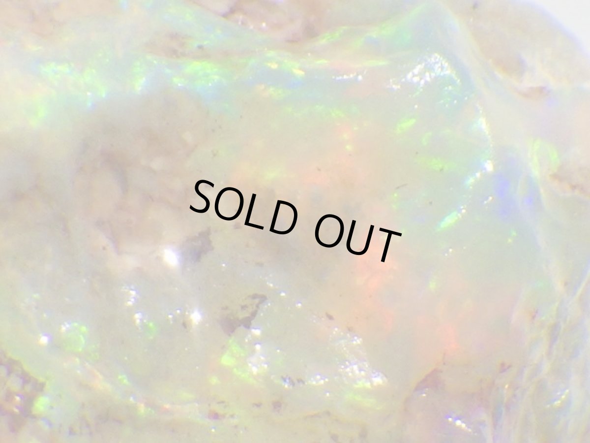 画像3: オパール化亀甲羅化石Ａ (3)