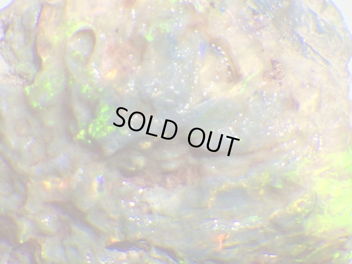 画像9: オパール化亀甲羅化石Ａ (9)