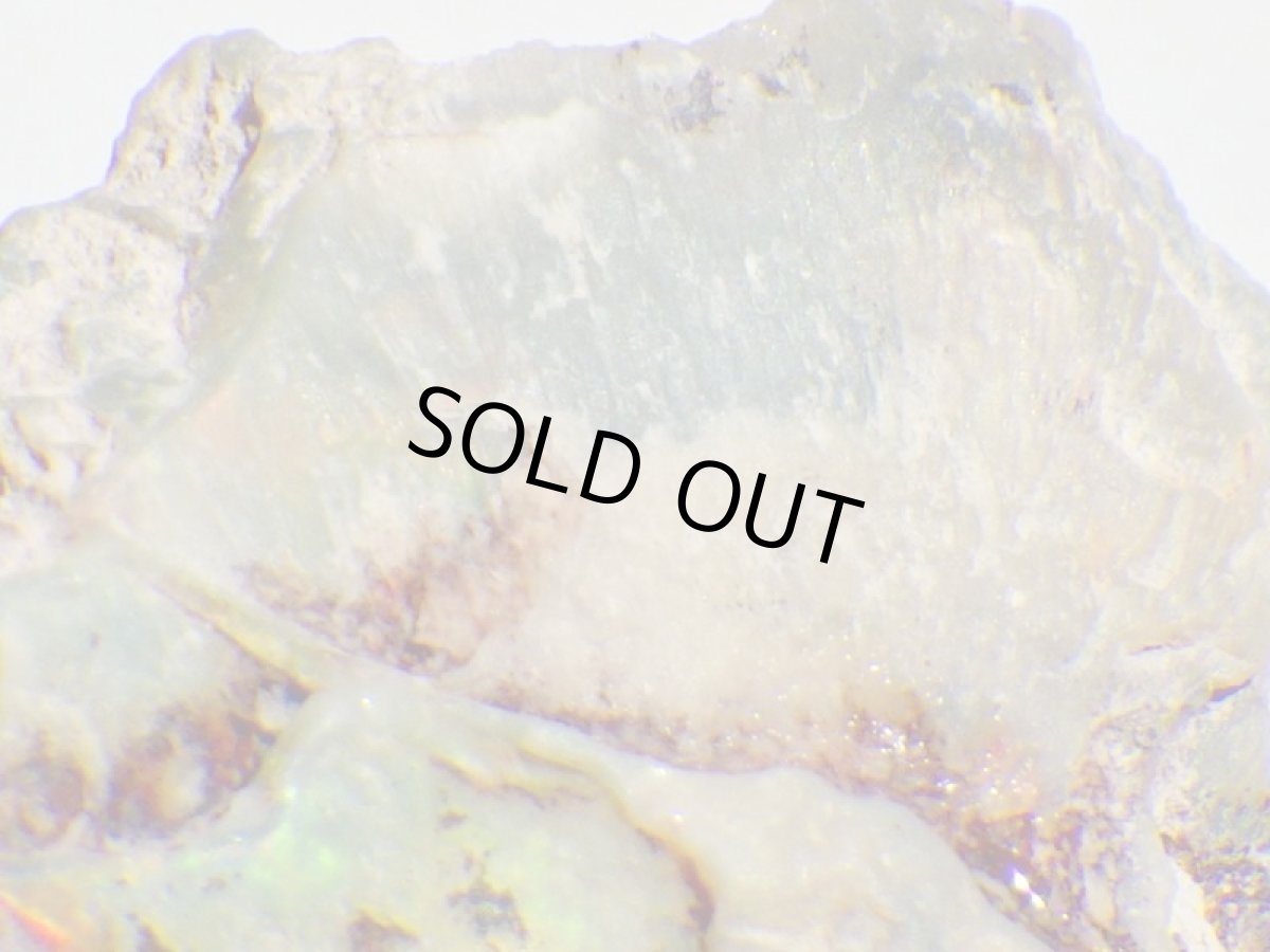 画像5: オパール化亀甲羅化石Ｂ (5)