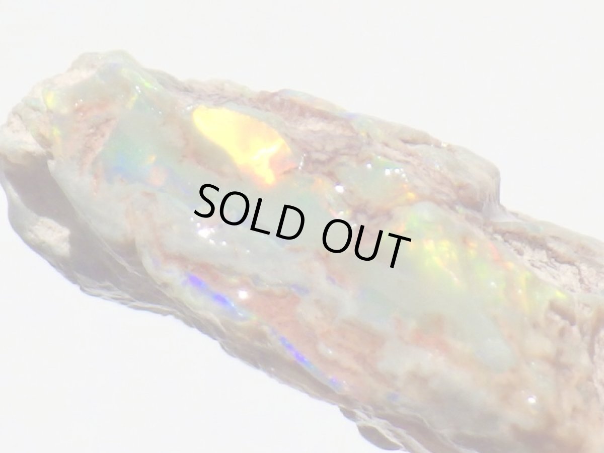 画像4: オパール化亀甲羅化石Ｂ (4)