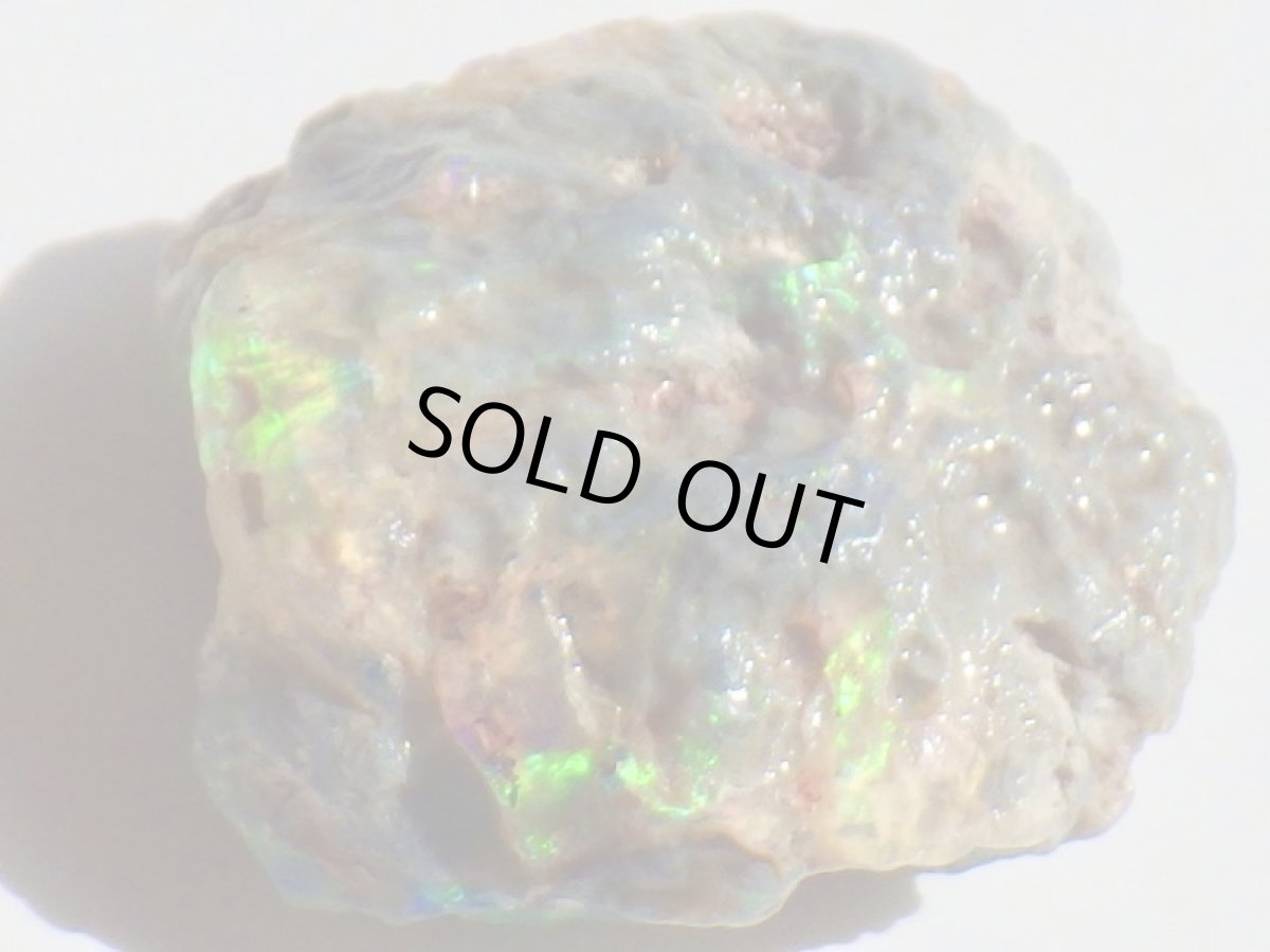 画像8: オパール化亀甲羅化石Ａ (8)