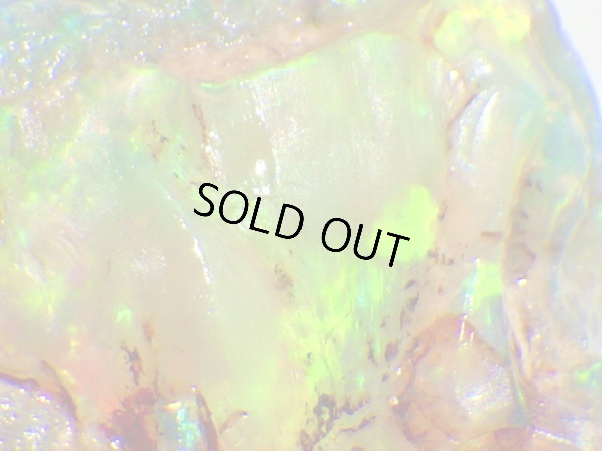 画像5: オパール化亀甲羅化石Ａ (5)