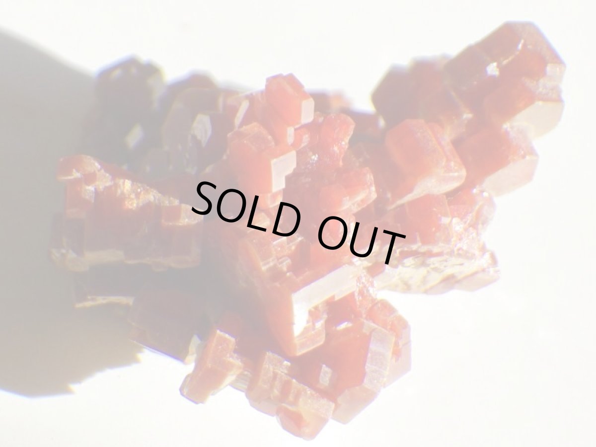 画像3: バナディナイトＧ (3)