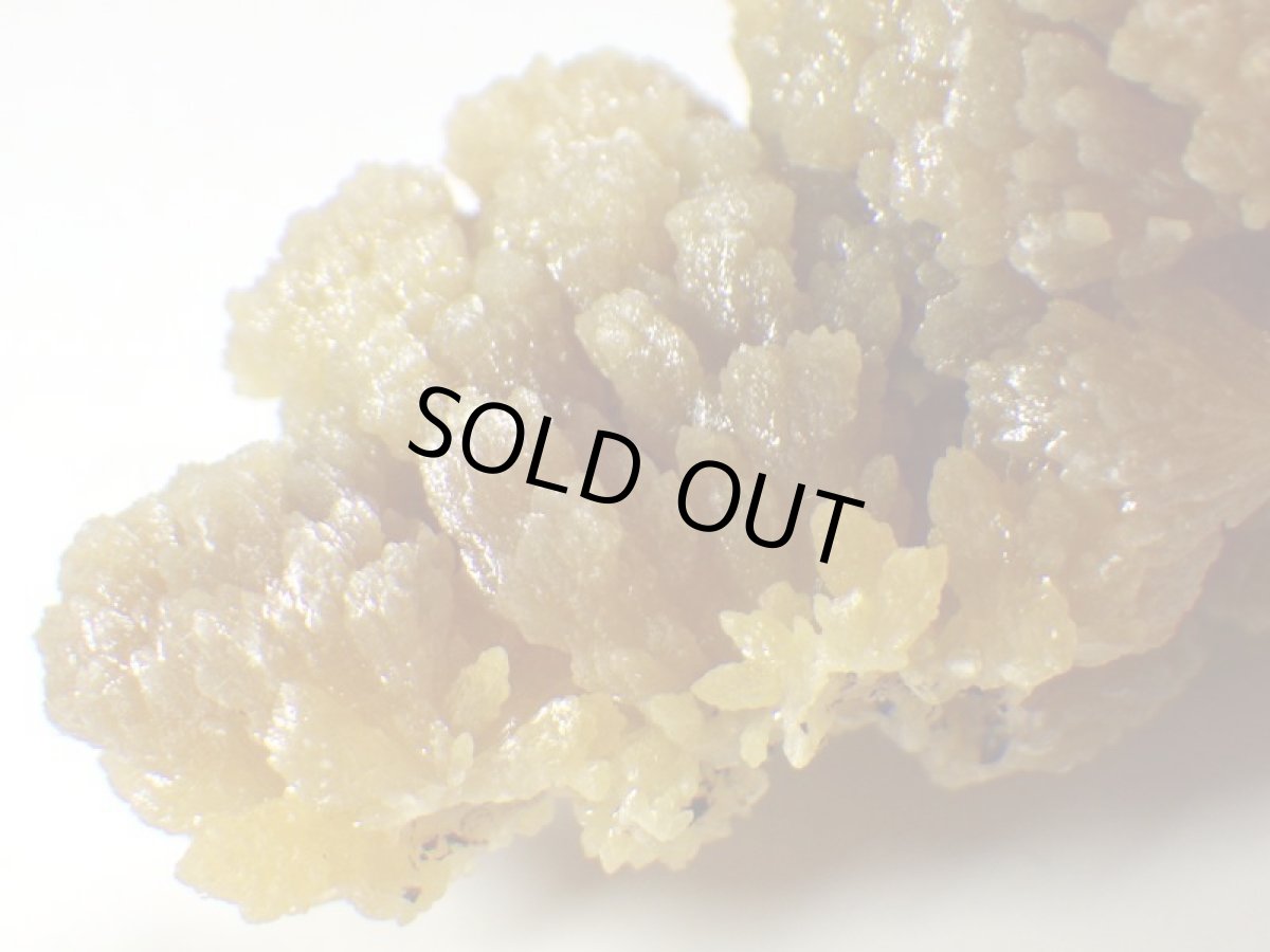 画像5: メキシコ産ミメタイトＦ (5)