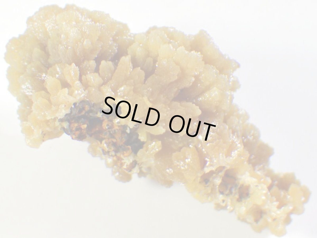 画像4: メキシコ産ミメタイトＦ (4)