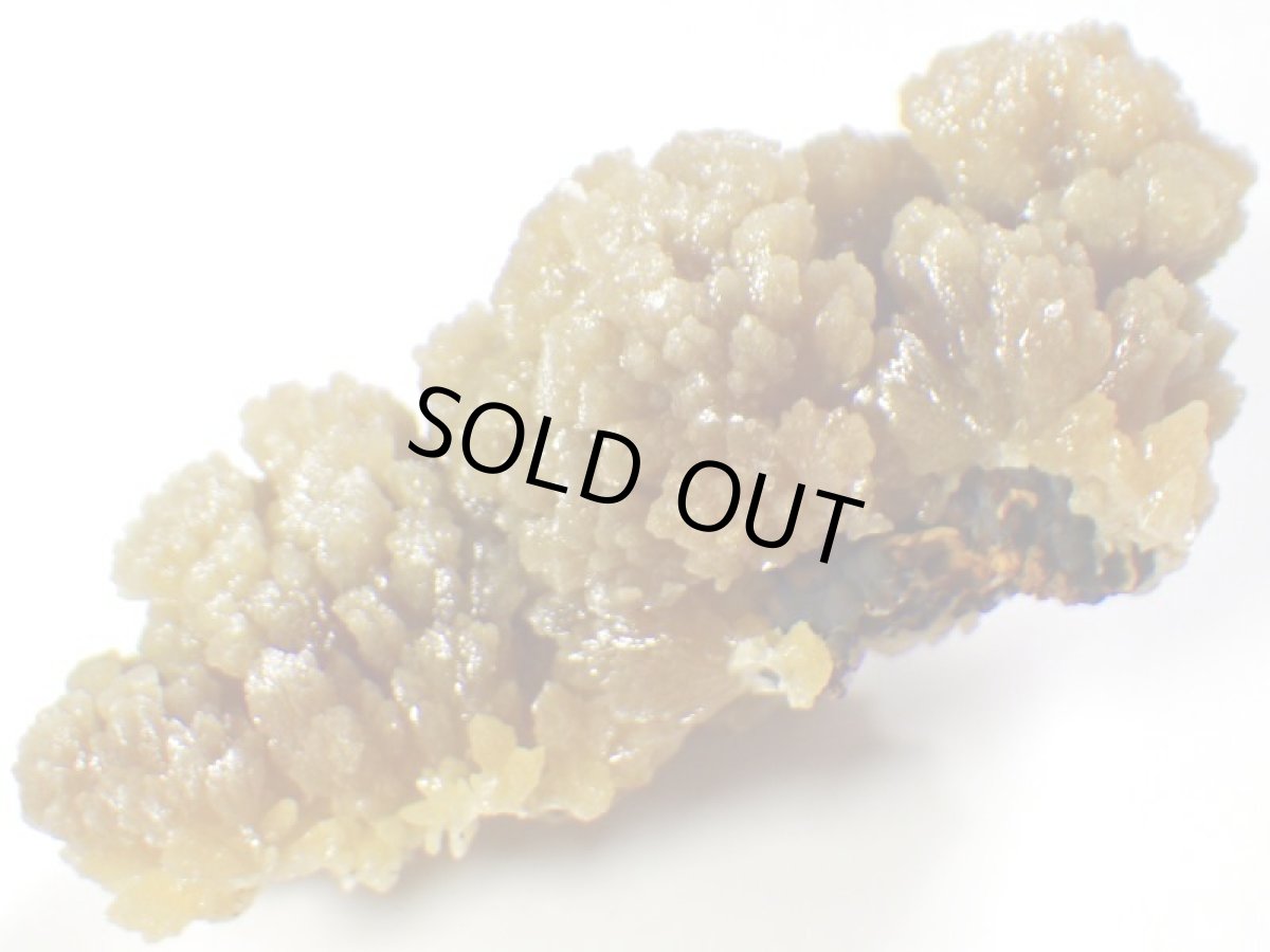 画像1: メキシコ産ミメタイトＦ (1)