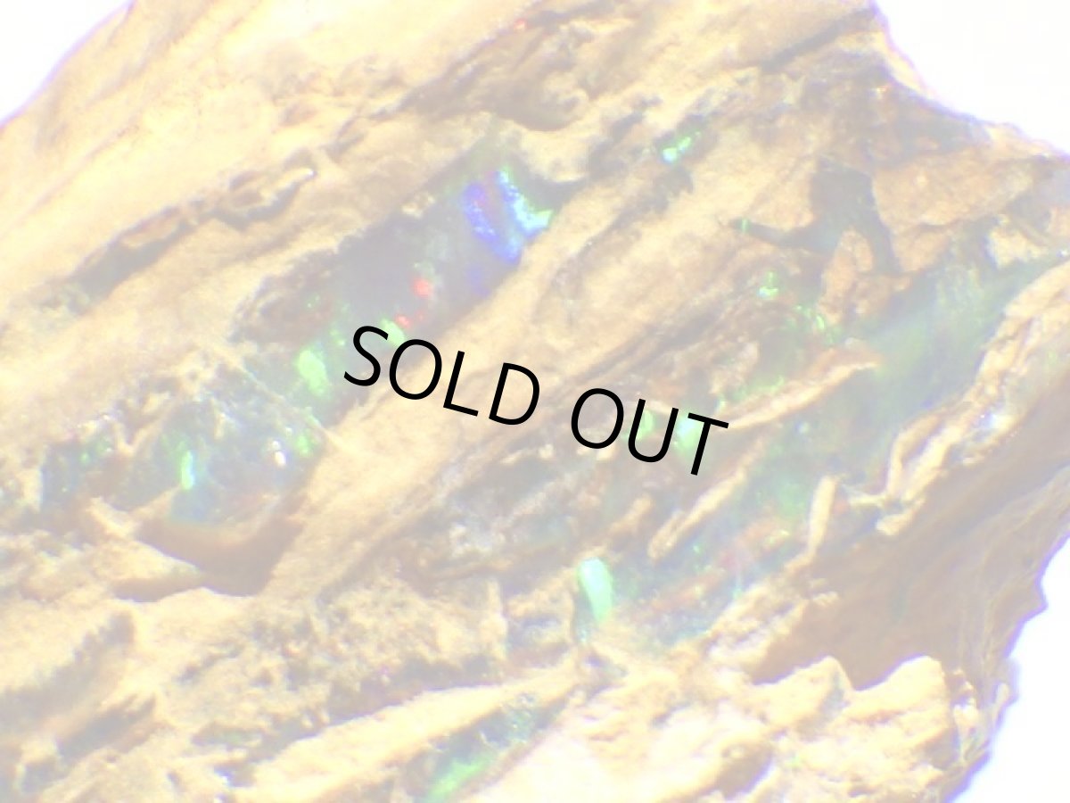 画像7: キルピー産ウッドオパールＡ (7)