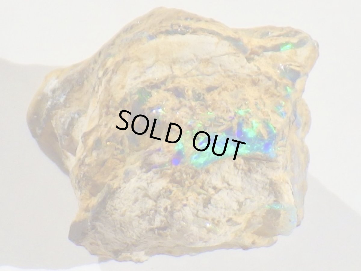 画像3: キルピー産ウッドオパールＡ (3)