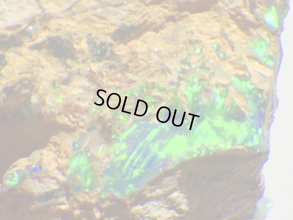 画像4: キルピー産ウッドオパールＡ (4)