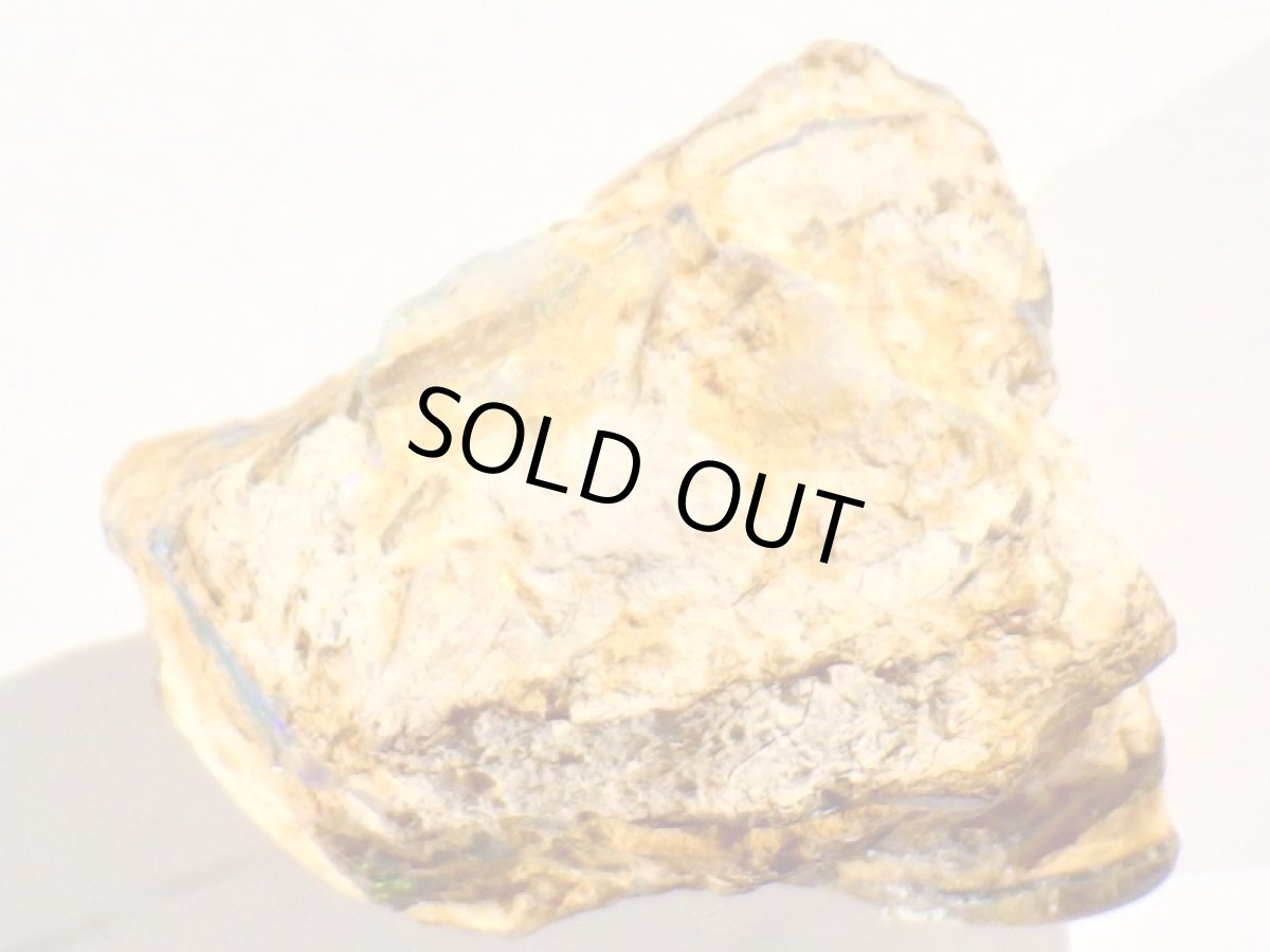 画像8: キルピー産ウッドオパールＡ (8)