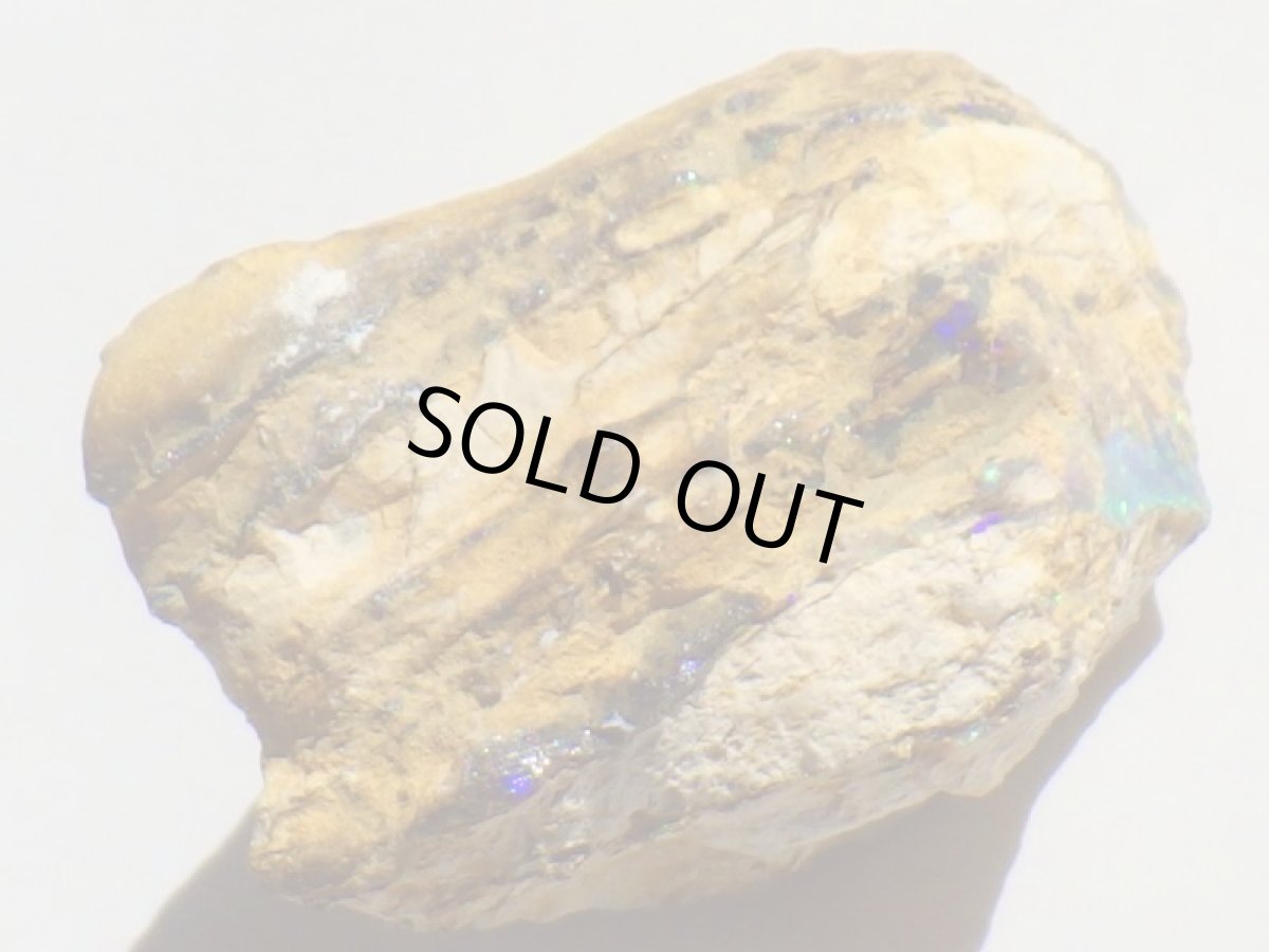 画像6: キルピー産ウッドオパールＡ (6)