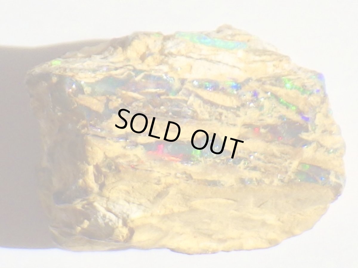 画像2: キルピー産ウッドオパールＡ (2)