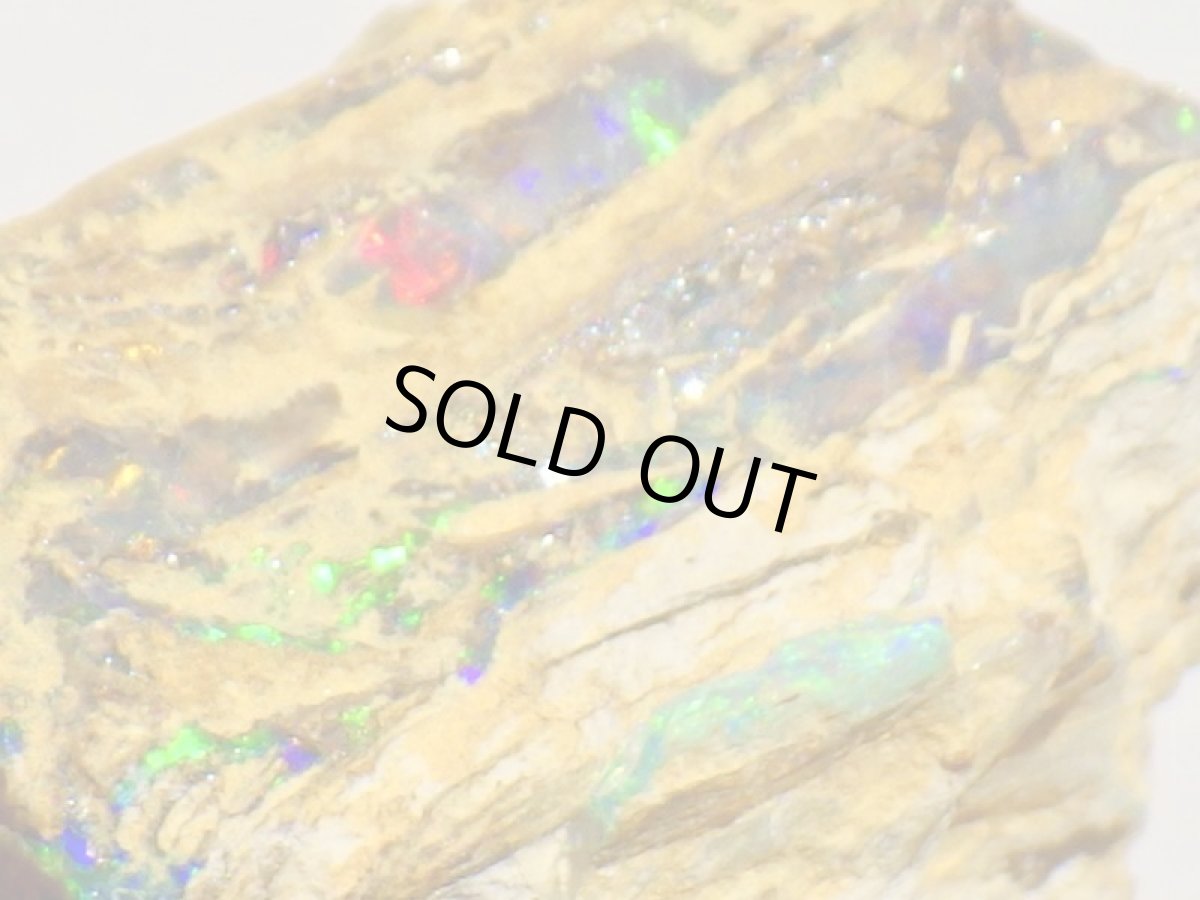 画像5: キルピー産ウッドオパールＡ (5)