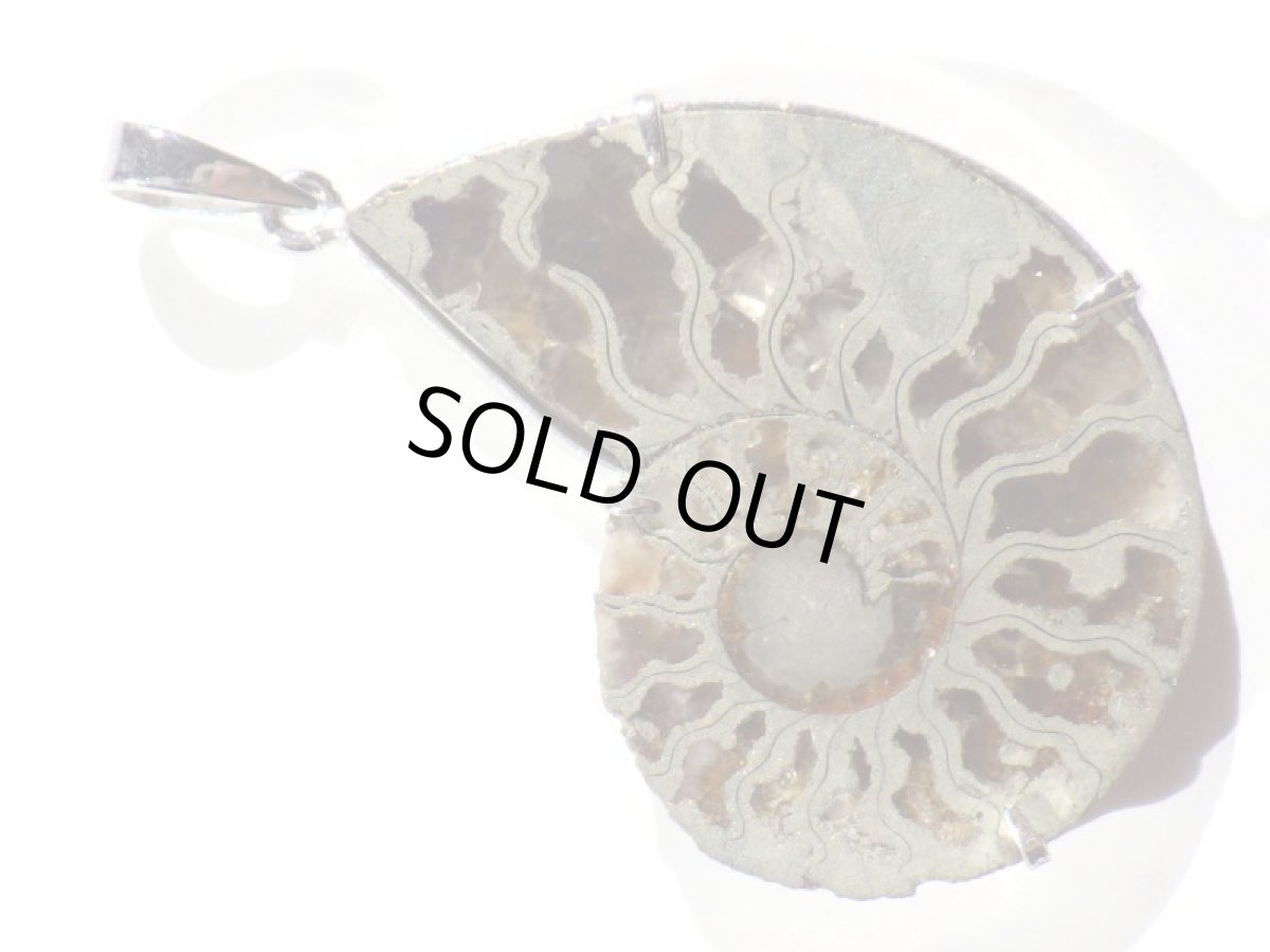 画像2: パイライト／アラゴナイトアンモナイトペンダント (2)