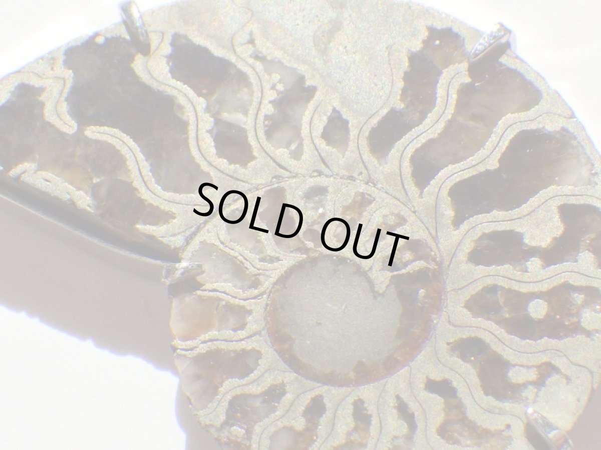 画像1: パイライト／アラゴナイトアンモナイトペンダント (1)