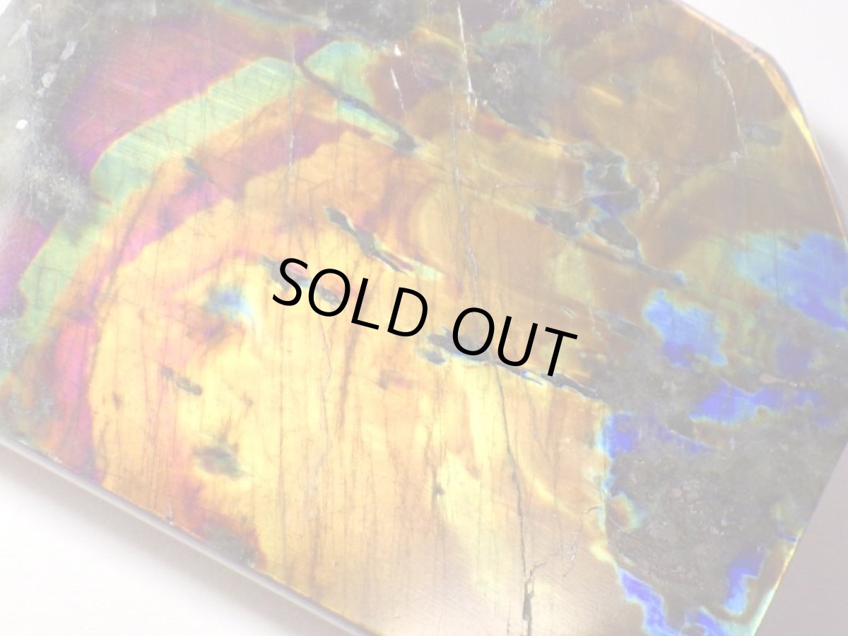 画像3: スペクトロライトＦ (3)