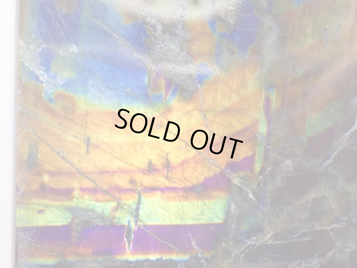 画像4: スペクトロライトＦ (4)