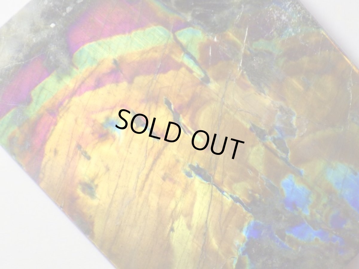 画像5: スペクトロライトＦ (5)