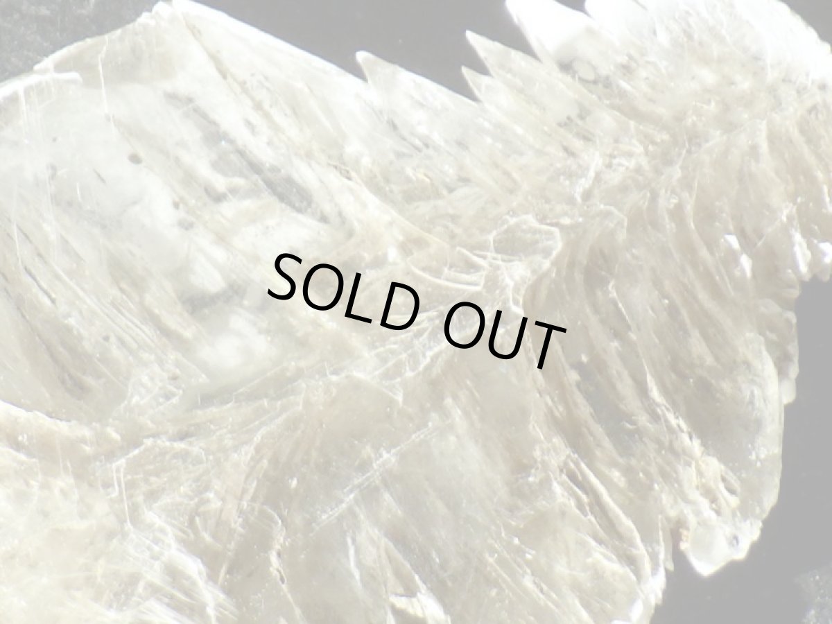 画像6: ドイツ産スノーセレナイトＡ (6)