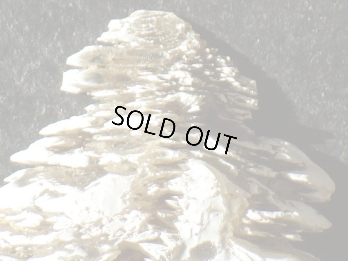 画像3: ドイツ産スノーセレナイトＢ (3)