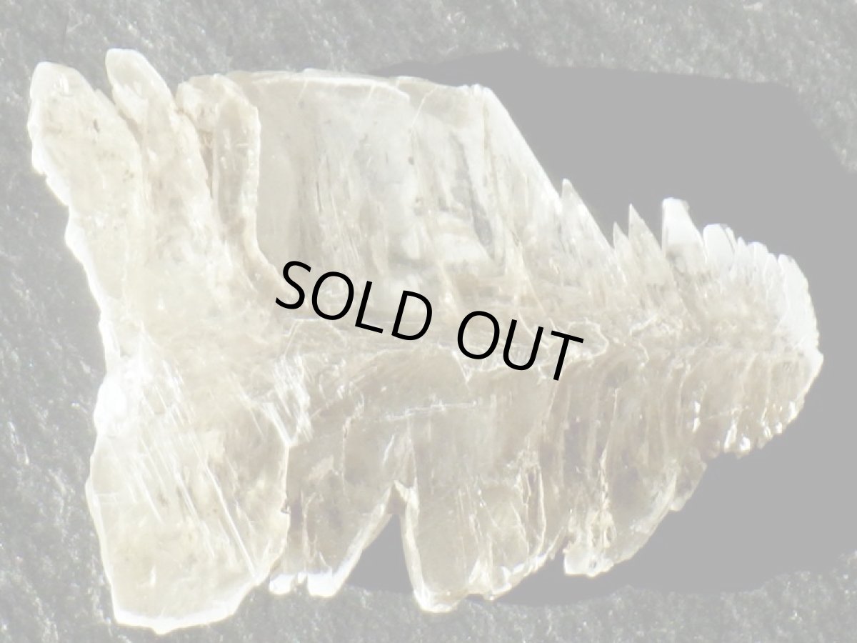 画像5: ドイツ産スノーセレナイトＡ (5)