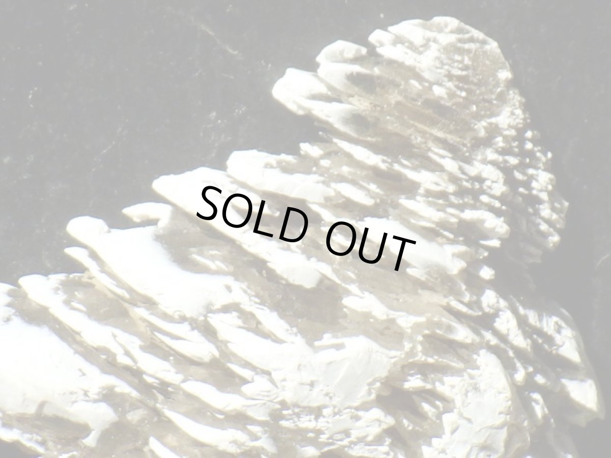 画像6: ドイツ産スノーセレナイトＢ (6)