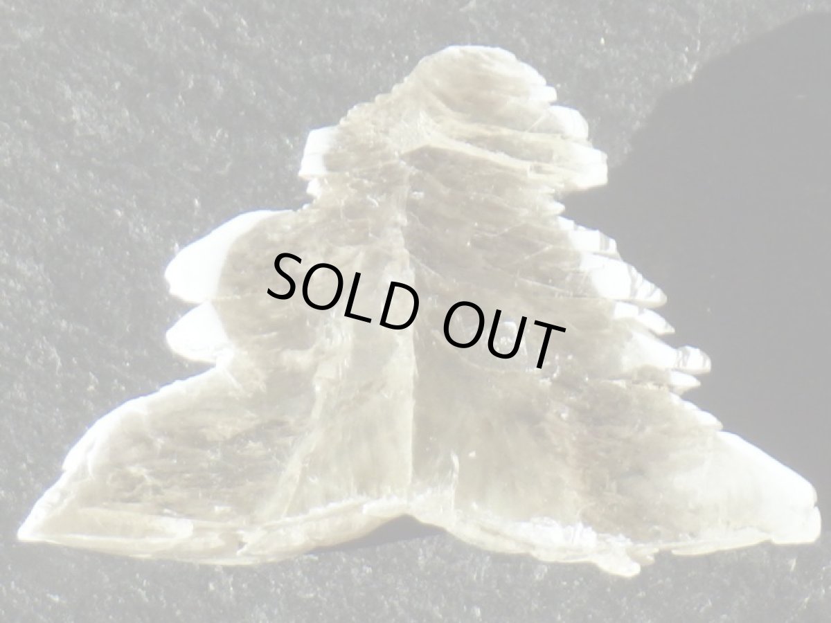 画像4: ドイツ産スノーセレナイトＢ (4)