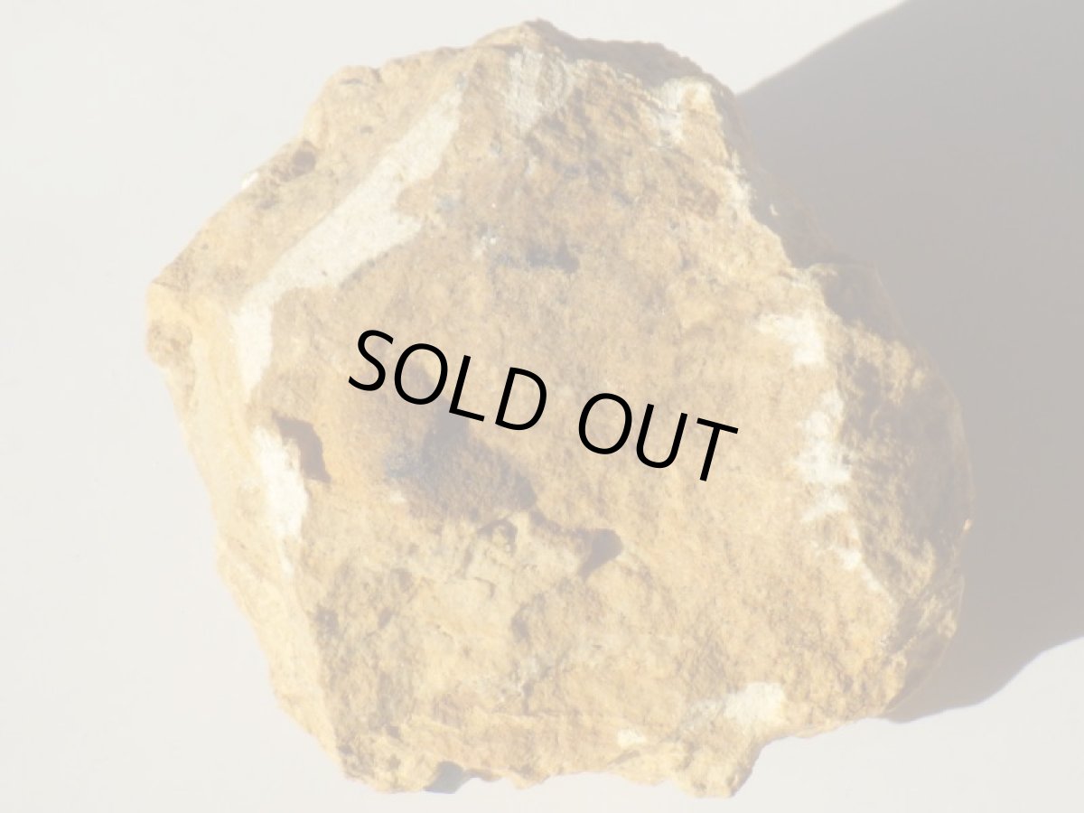 画像5: イタリア産母岩付き黒水晶 (5)