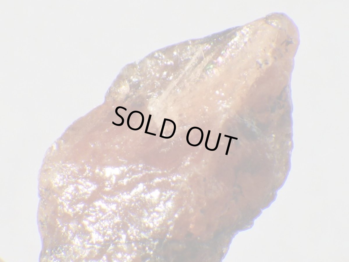 画像5: パキスタン産トリプライトB (5)