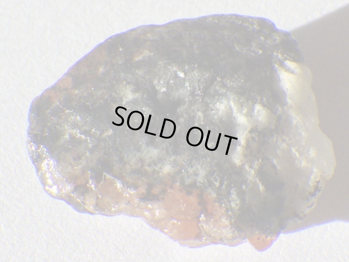 画像4: パキスタン産トリプライトA (4)