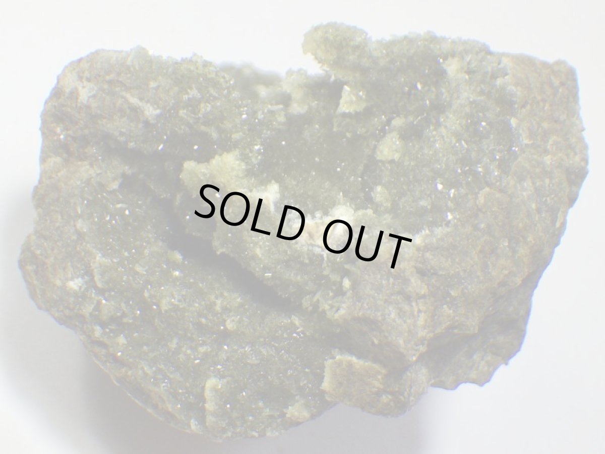 画像3: スペイン産アナパイトＡ (3)