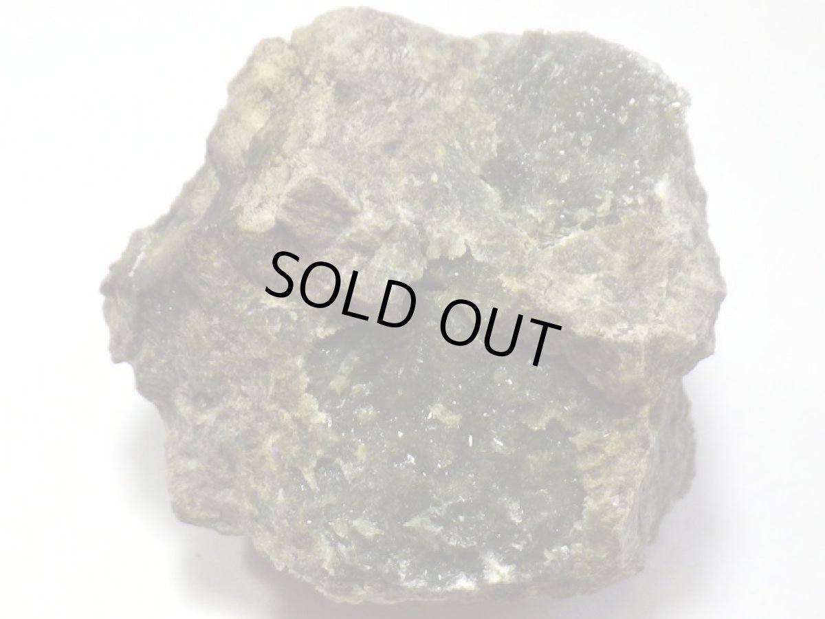 画像4: スペイン産アナパイトＡ (4)