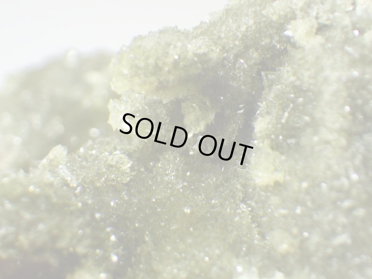 画像2: スペイン産アナパイトＡ (2)