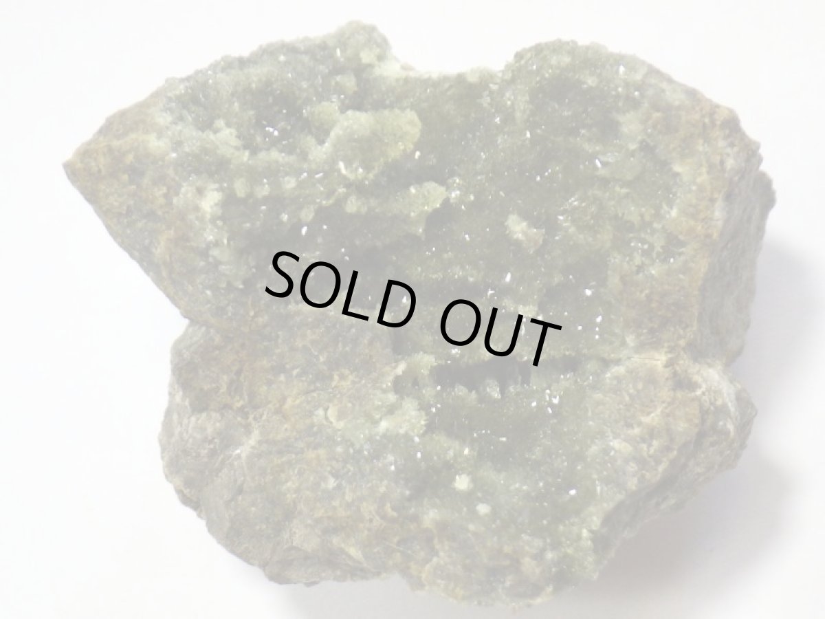 画像1: スペイン産アナパイトＡ (1)