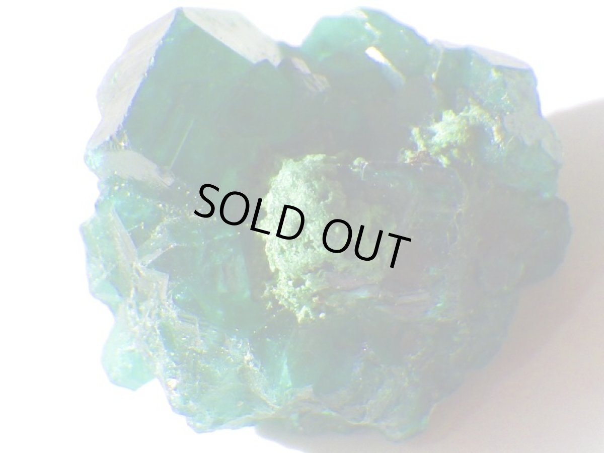 画像5: コンゴ産ダイオプテーズＥ (5)