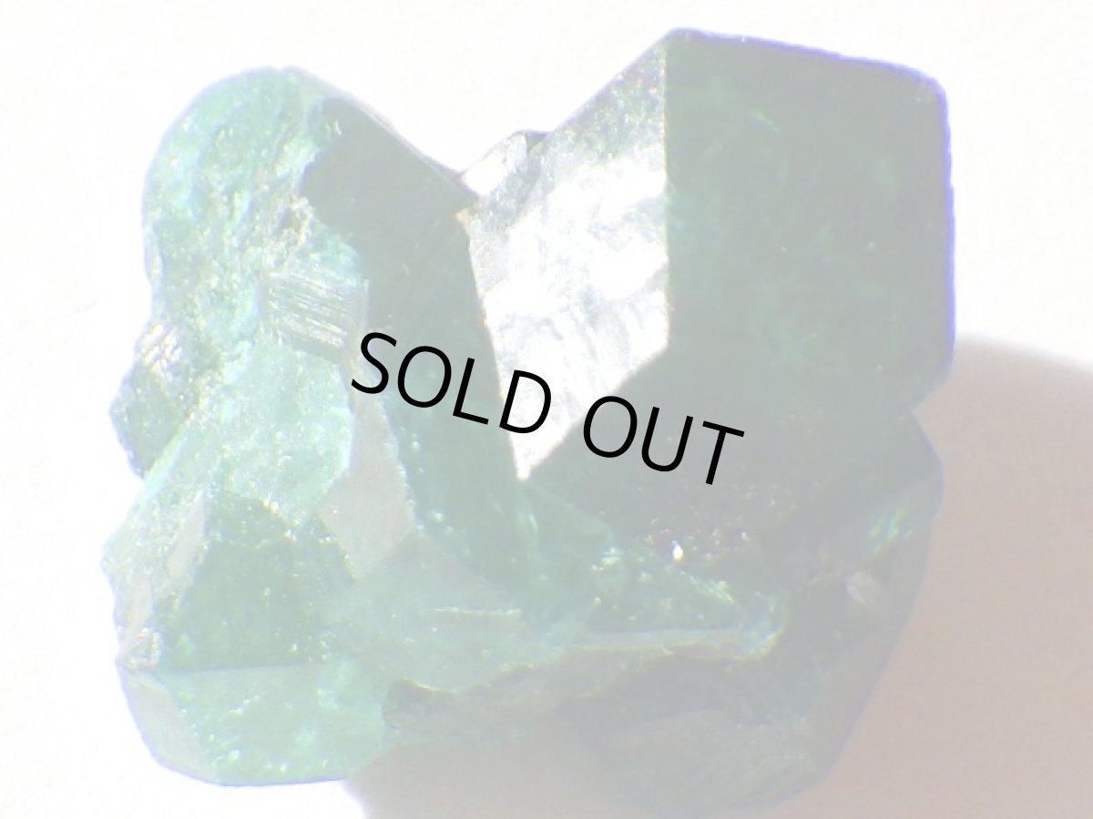 画像7: コンゴ産ダイオプテーズＤ (7)