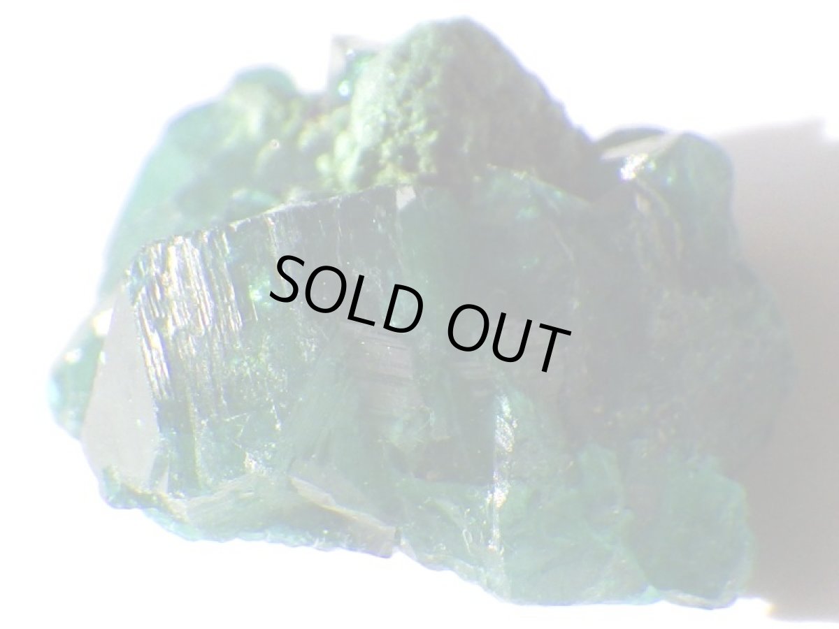 画像4: コンゴ産ダイオプテーズＥ (4)