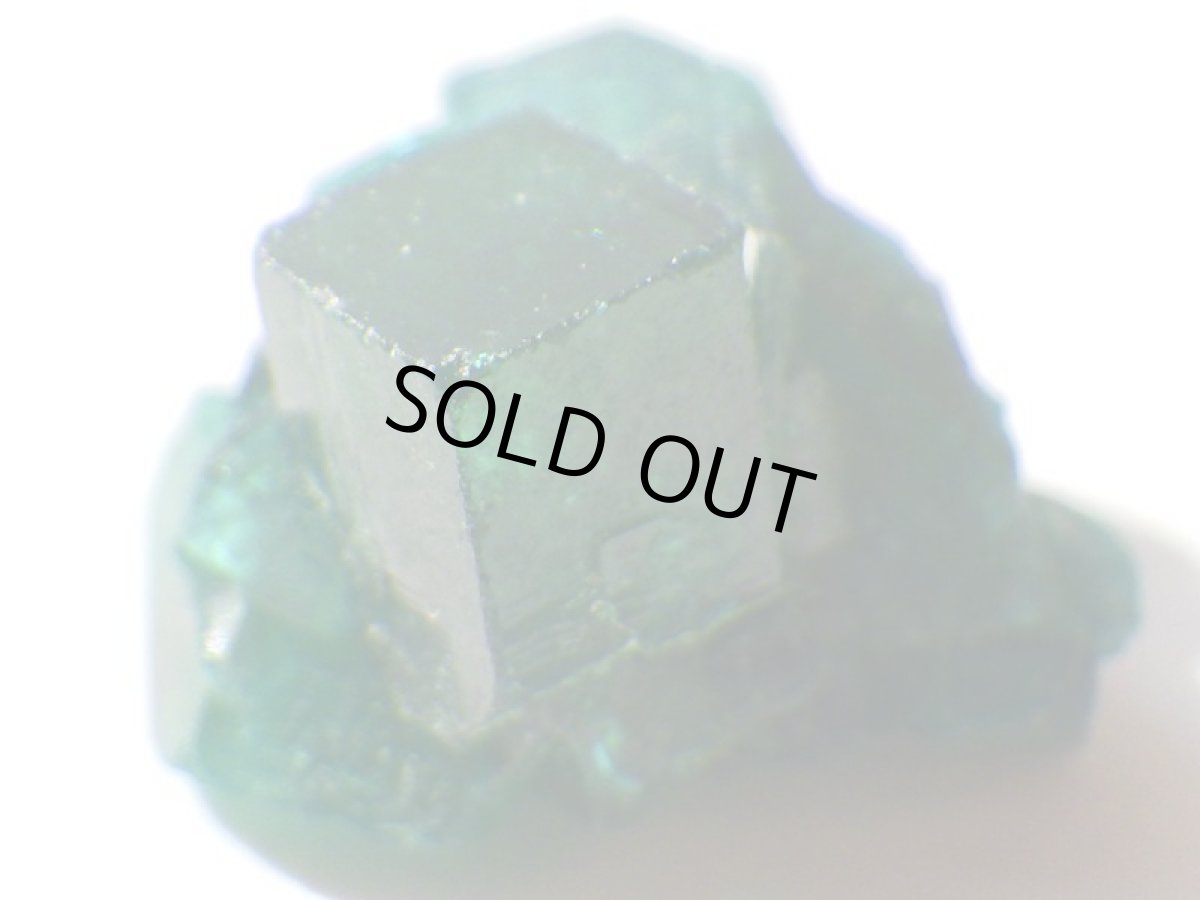 画像5: コンゴ産ダイオプテーズＤ (5)