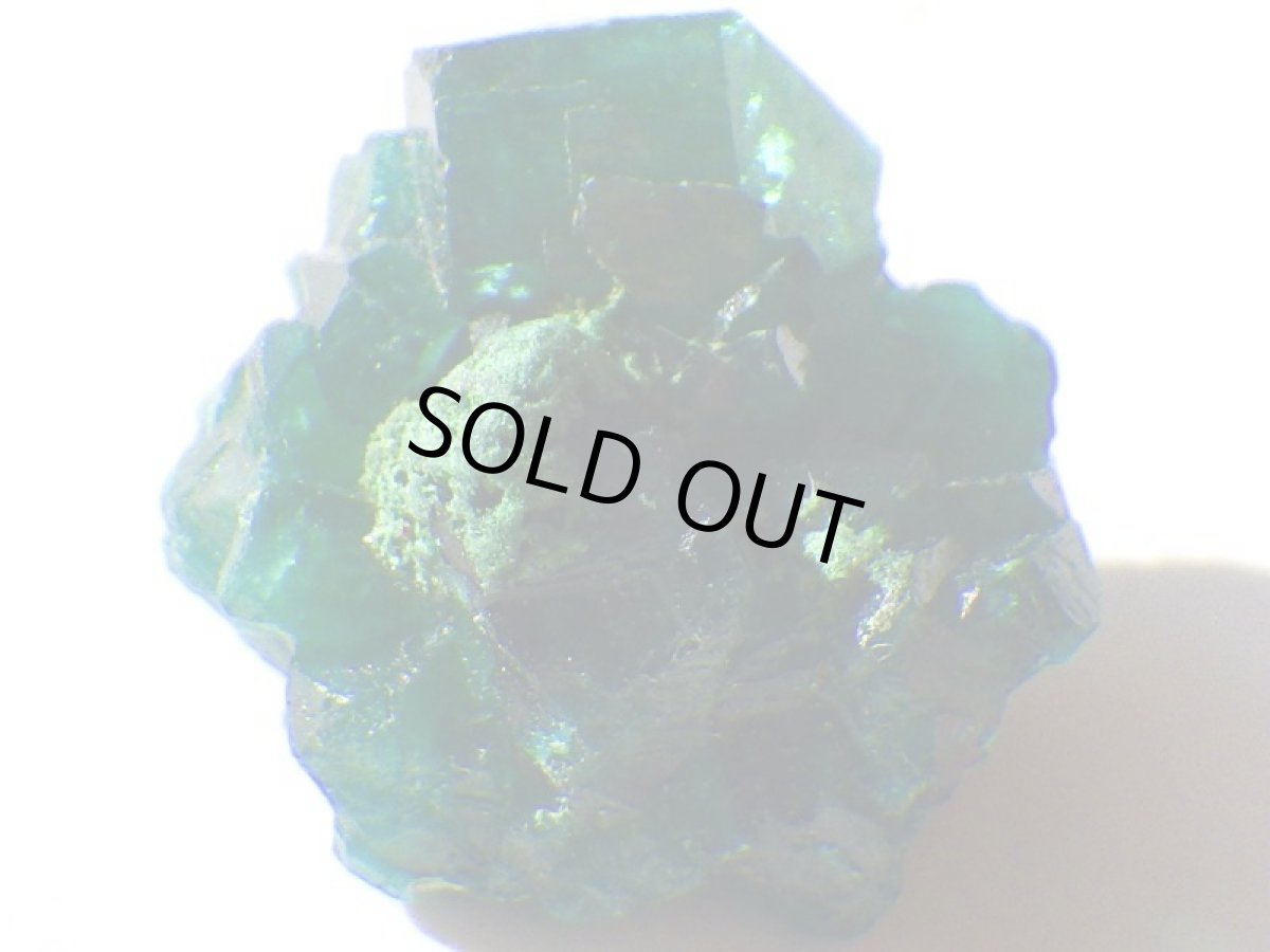 画像1: コンゴ産ダイオプテーズＥ (1)