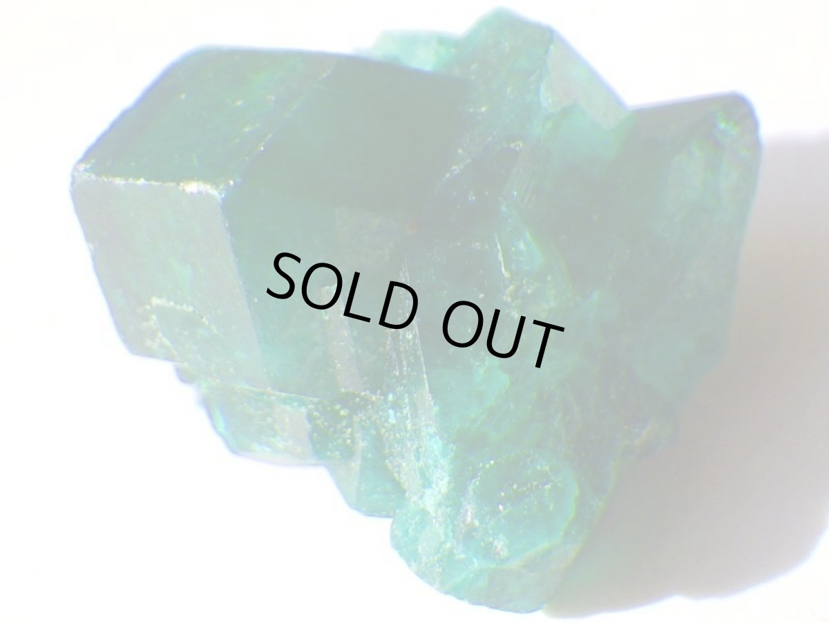 画像3: コンゴ産ダイオプテーズＤ (3)