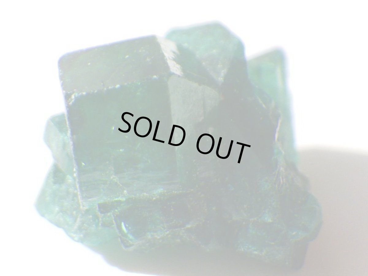 画像4: コンゴ産ダイオプテーズＤ (4)