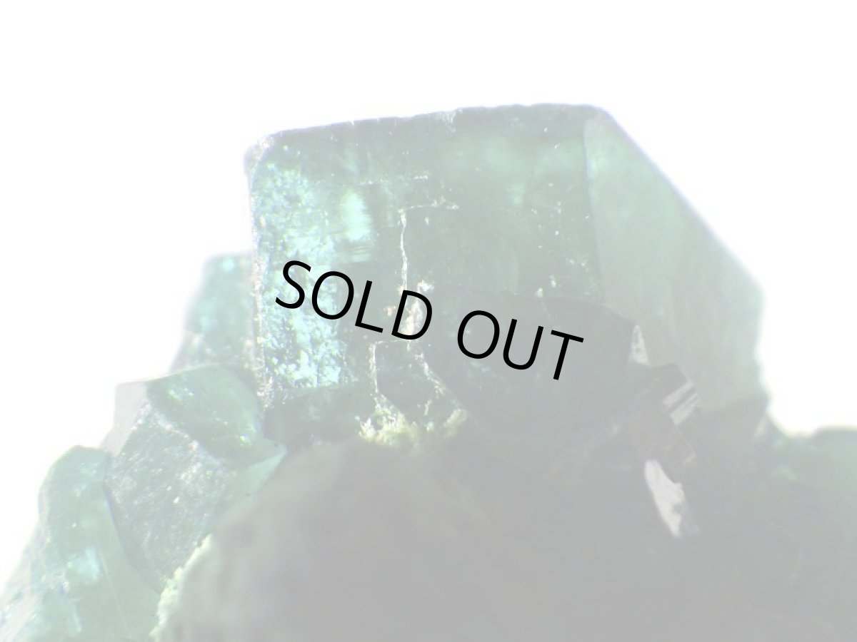 画像2: コンゴ産ダイオプテーズＥ (2)