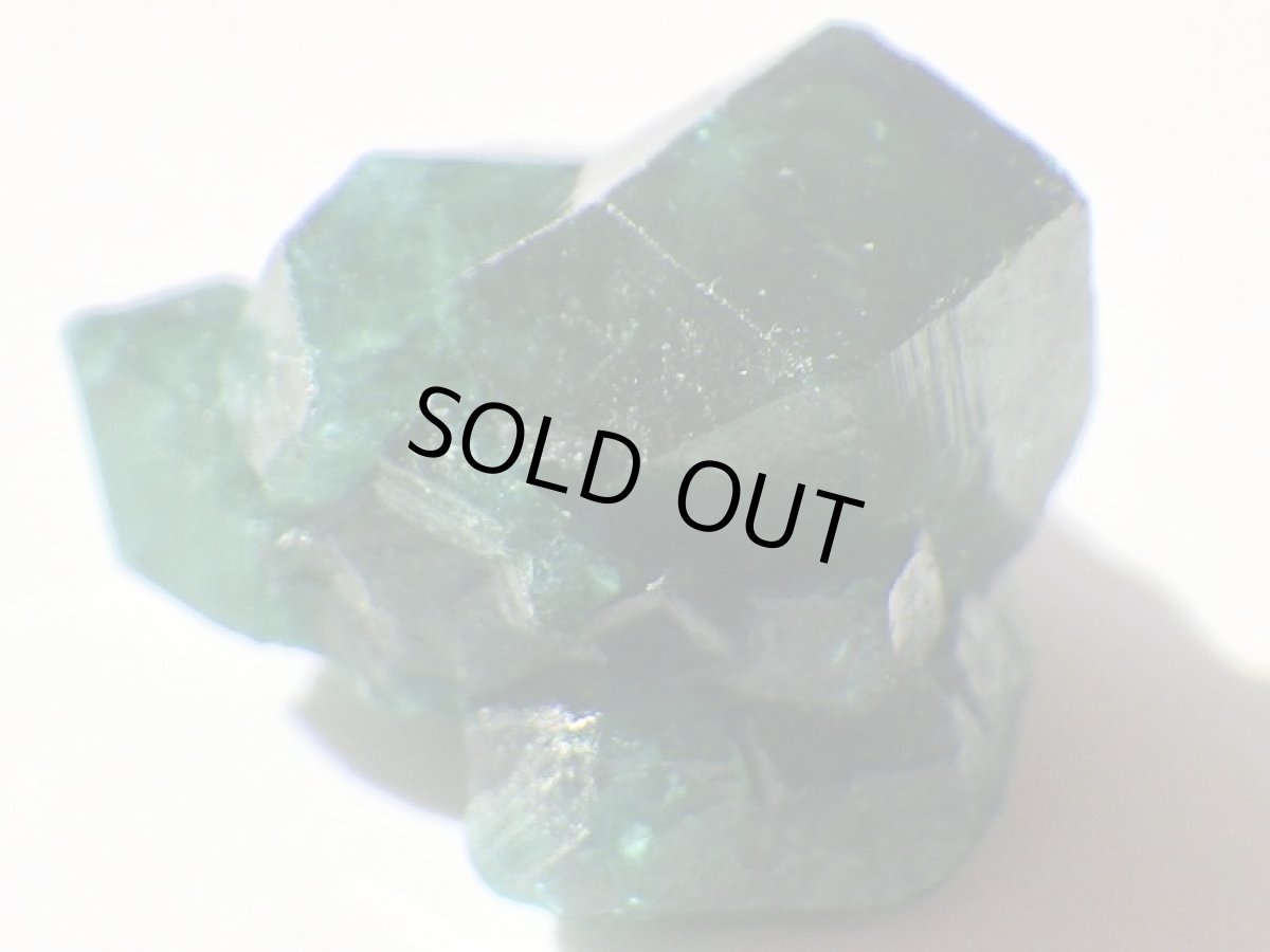 画像6: コンゴ産ダイオプテーズＤ (6)