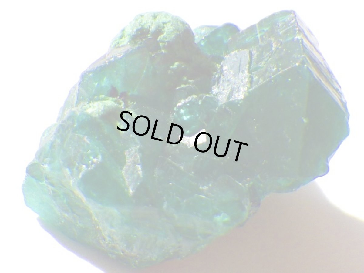 画像3: コンゴ産ダイオプテーズＥ (3)