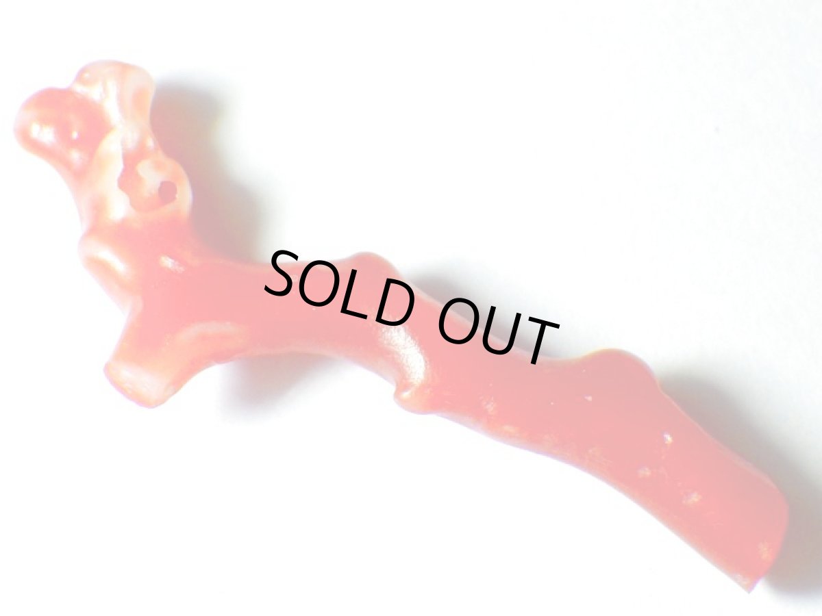 画像3: 高知県産赤珊瑚Ｃ (3)