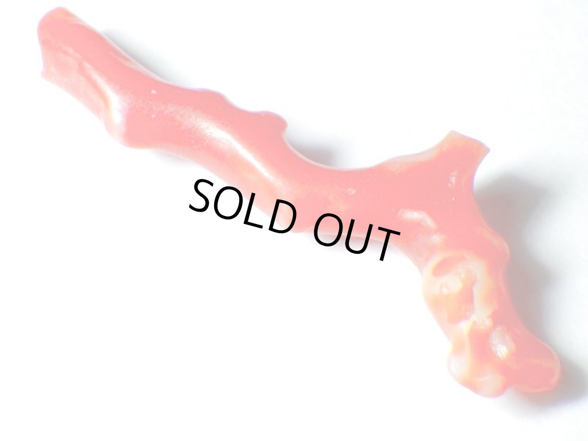 画像4: 高知県産赤珊瑚Ｃ (4)