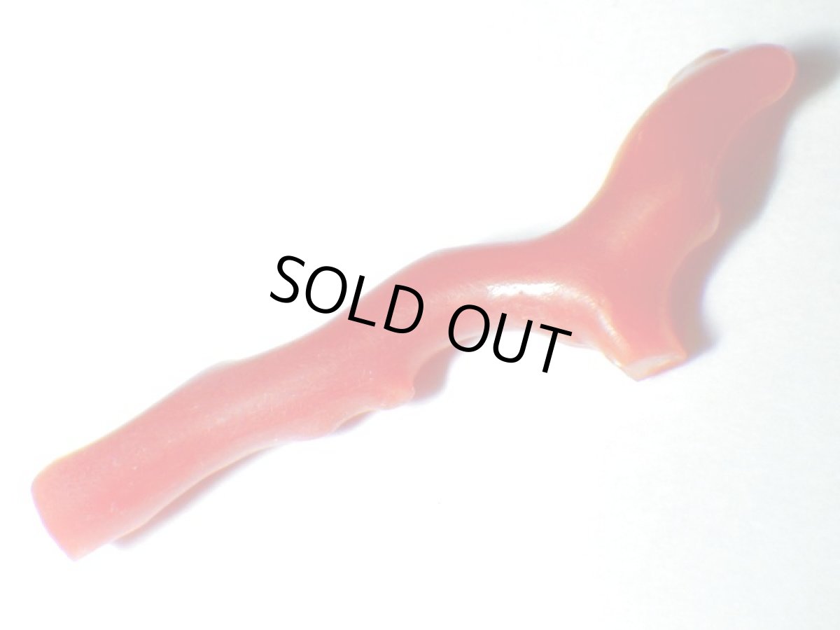 画像5: 高知県産赤珊瑚Ｃ (5)