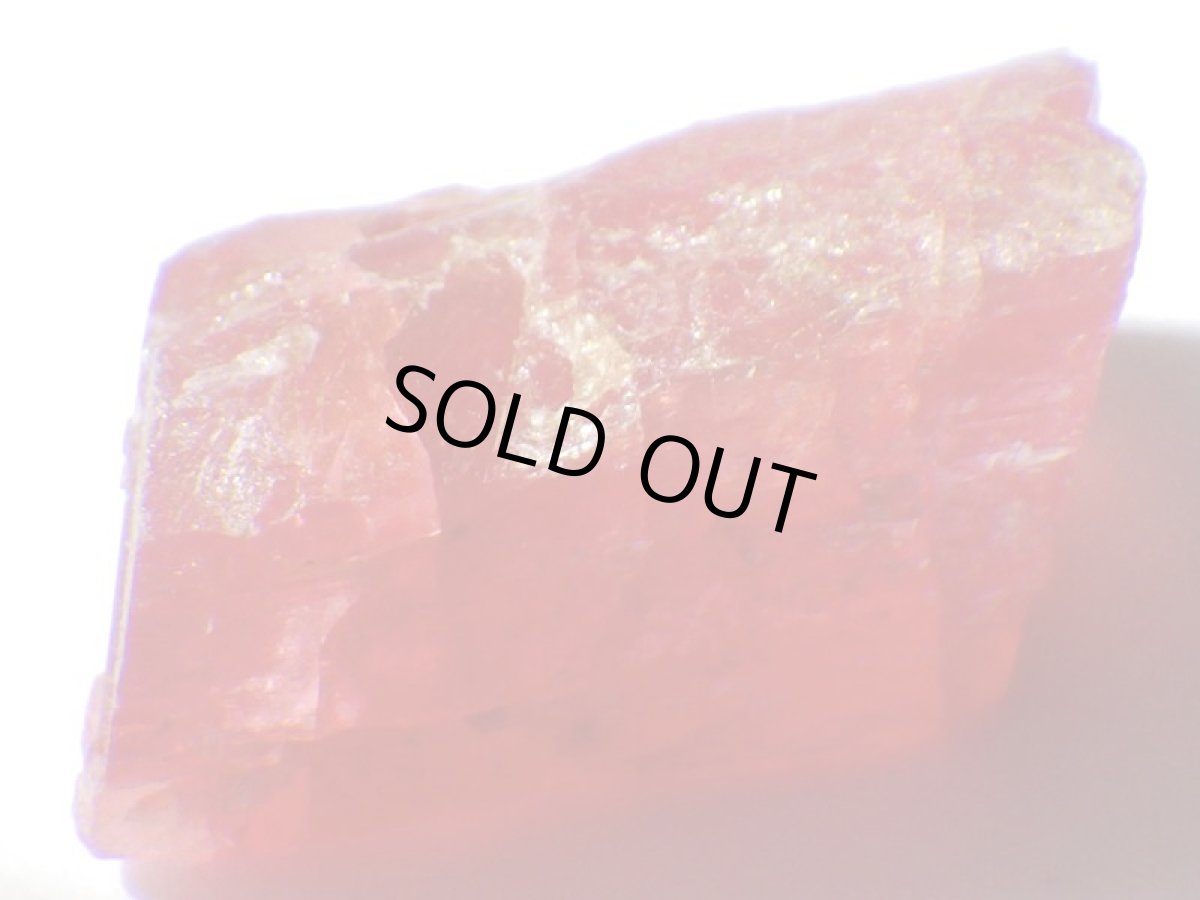 画像3: ブラジル産ロードナイトＥ (3)